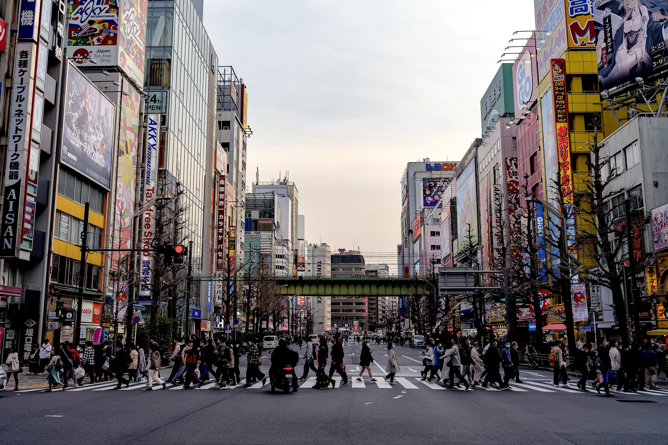 Akihabara Crossing